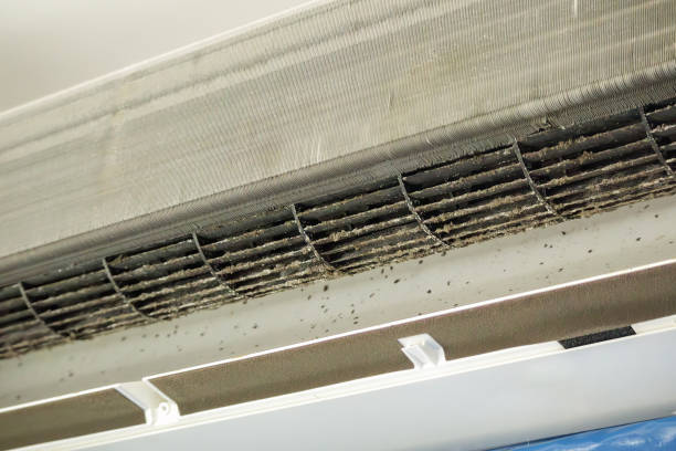 Best Ductwork Odor Removal in Whittier, CA