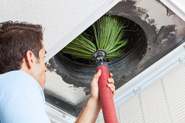 Best Mold and Mildew Removal from Ducts in Whittier, CA